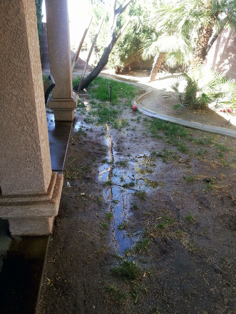 Underground+Irrigation+Leak