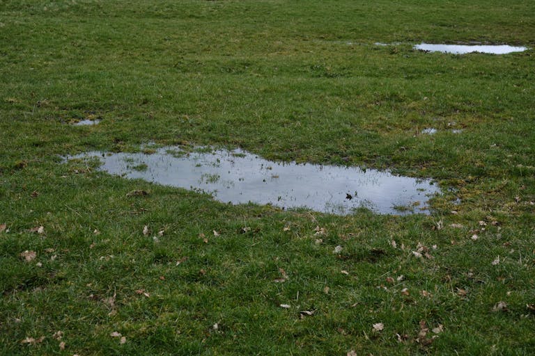 Tranquil view of a lush grassland with fresh rain puddles in Greystoke, England.