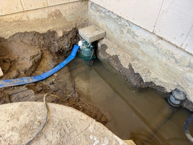 Case Study: Prolonged Undiagnosed Leak in Condo Complex